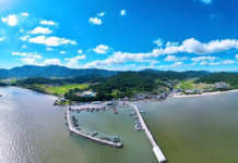 율포항 국가어항 지정 추진… 기본설계비 9억 원 정부예산안 반영