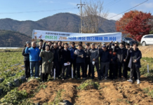 보성군, ‘신품종 감자 육성 가을 실증 재배 평가회’ 성료