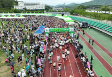 보성 대표 스포츠축제 ‘녹차마라톤’ 참가자 모집…3월 30일까지