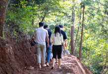 보성군, 읍면별 ‘맨발산책길’ 조성… 생활권 힐링공간 확대
